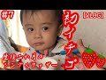 【苺を食べない理由】生後二か月で離婚 事由だけに親権と監護権の両方をもつシングルファザーの実家同居生活【父子家庭】【Vlog】