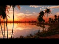 NDF - Since We Last Met