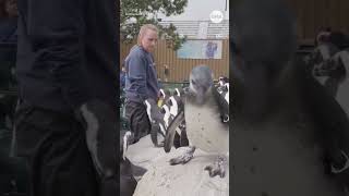 Celebrity EVERYBODY MEET WALTER! Profile