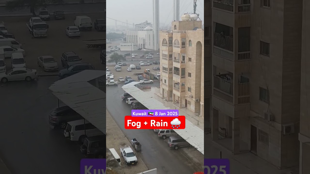 Fog + Rain weather in Kuwait today (8/1/2025) 
