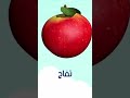 تفاح تعلم نطق أسماء الفواكه والخضروات 