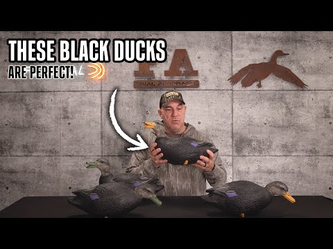 Why you NEED the FA Black Duck Full Body Decoys!