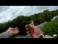 Perch rush - Broken spinning rod