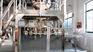 SG-210+Multi-head weigher Acepack