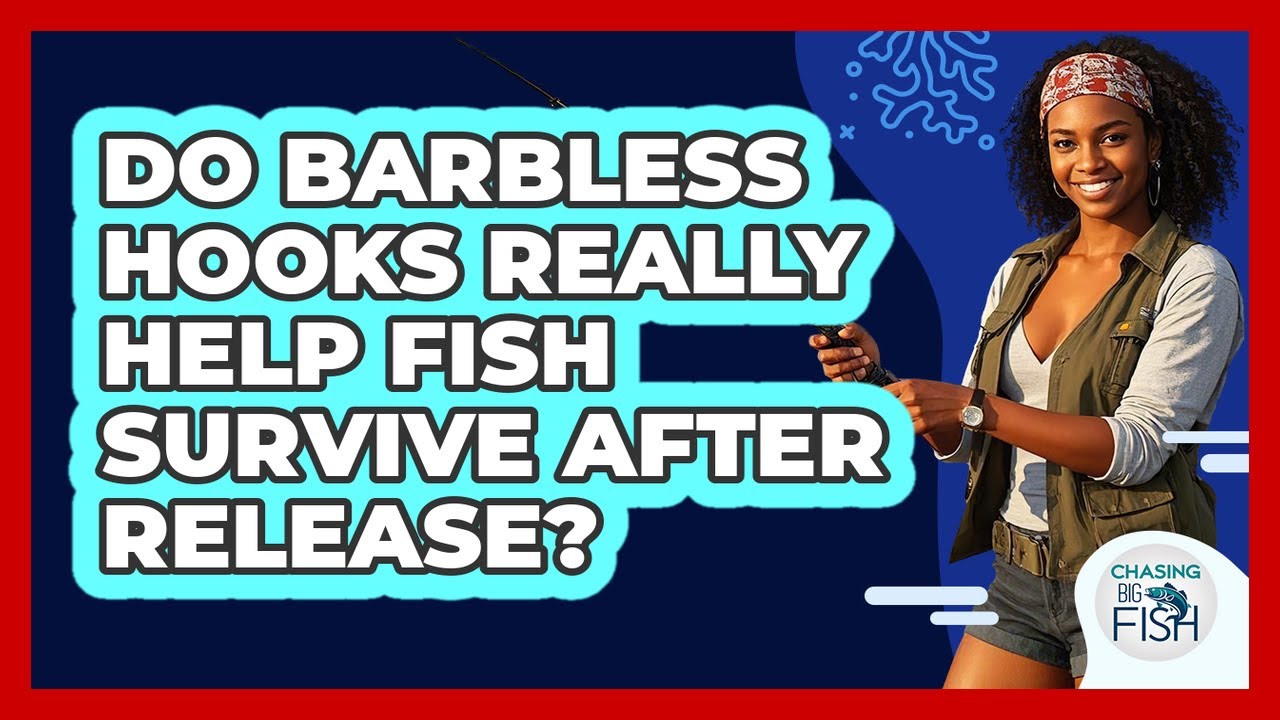 Do Barbless Hooks Really Help Fish Survive After Release? - Chasing Big ...