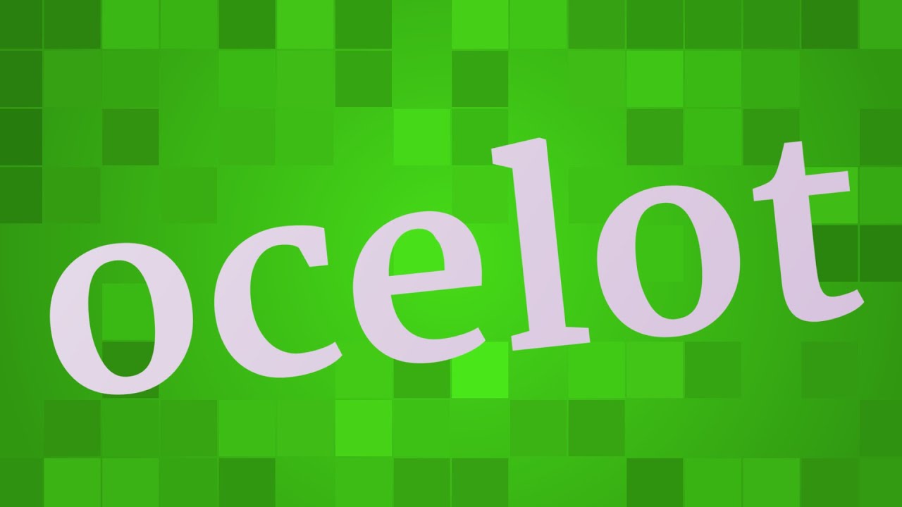 OCELOT pronunciation • How to pronounce OCELOT - YouTube