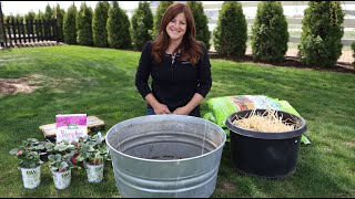 Planting Strawberries in Containers for Beginners! 🍓🤤\/\/ Garden Answer