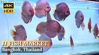 [BANGKOK] Chatuchak Fish Market 'Discover Largest Fish Market In Bangkok!' | Thailand [4K HDR]