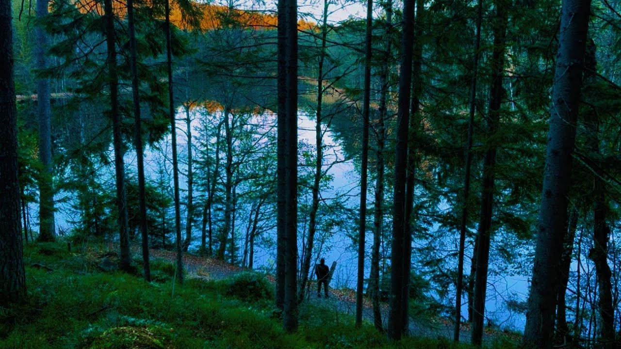 🇳🇴 A Peaceful Day Camping in the Norwegian Forest | Solo Adventure 