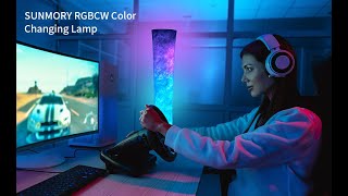 (Model:HY-LDD190610-B) SUNMORY RGBCW floor lamp Installation Video screenshot 5