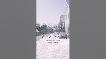 القارئ اسلام صبحي | سورة النمل ♡ #قرآن #اسلام_صبحي #fypシ