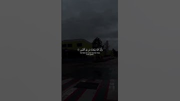 القارئ عبدالرحمن مسعد 🍂 سورة الحج 🍂🍁