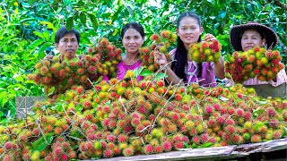 Frozen Ice Rambutan Fruit - Harvesting Natural Rambutan to Donate with 200 Students in Village