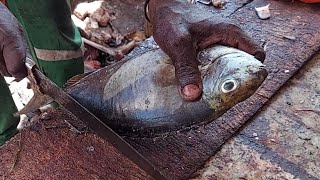 how to cutting black fish