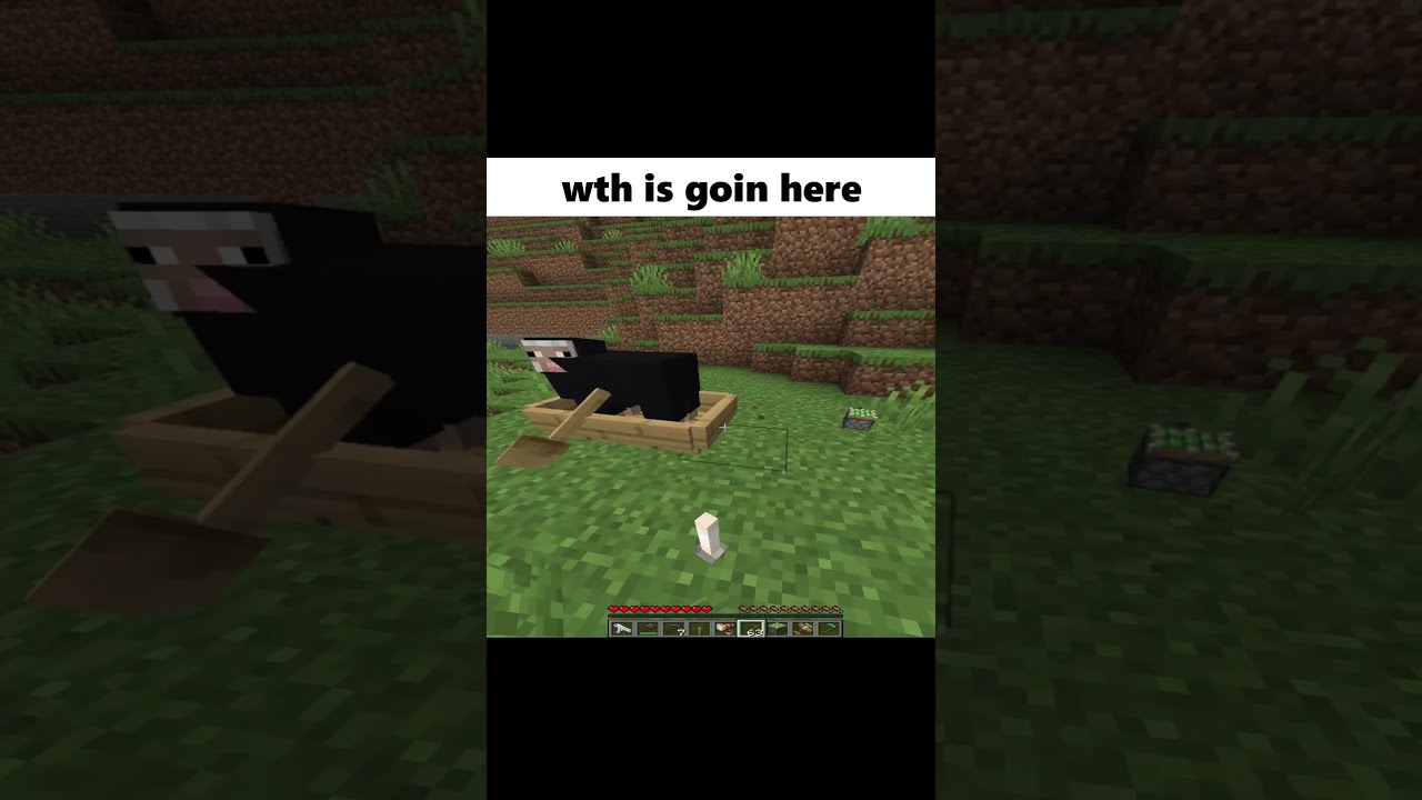 WTH Is Happening In Minecraft Shorts