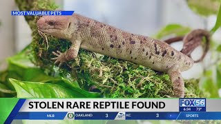 Rare reptile returned to Lexington pet store