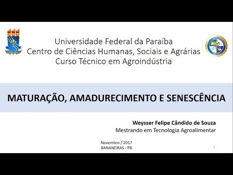 Vídeo: Como Acelerar O Processo De Maturação De Diferentes Vegetais?