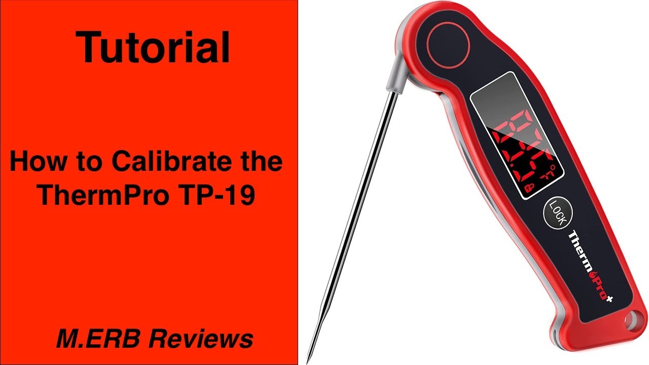 ThermoPro TP19 Waterproof Digital Probe Meat Thermometer in the