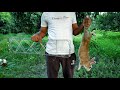 तीतर के जाल से खरगोश कैसे पकड़े | how to make rabbit trap | fishing SH