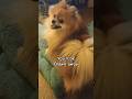 100% REAL bedtime routine #funny #shorts