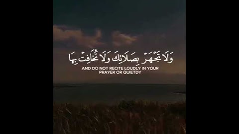 أرح سمعك 🥀القارئ: سعيد الخطيب 🍃حالات واتس آب حالات واتس قران كريم, حالات قرانية مؤثرة