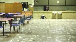 Мачка Во Мензата На Студенски Дом Кузман