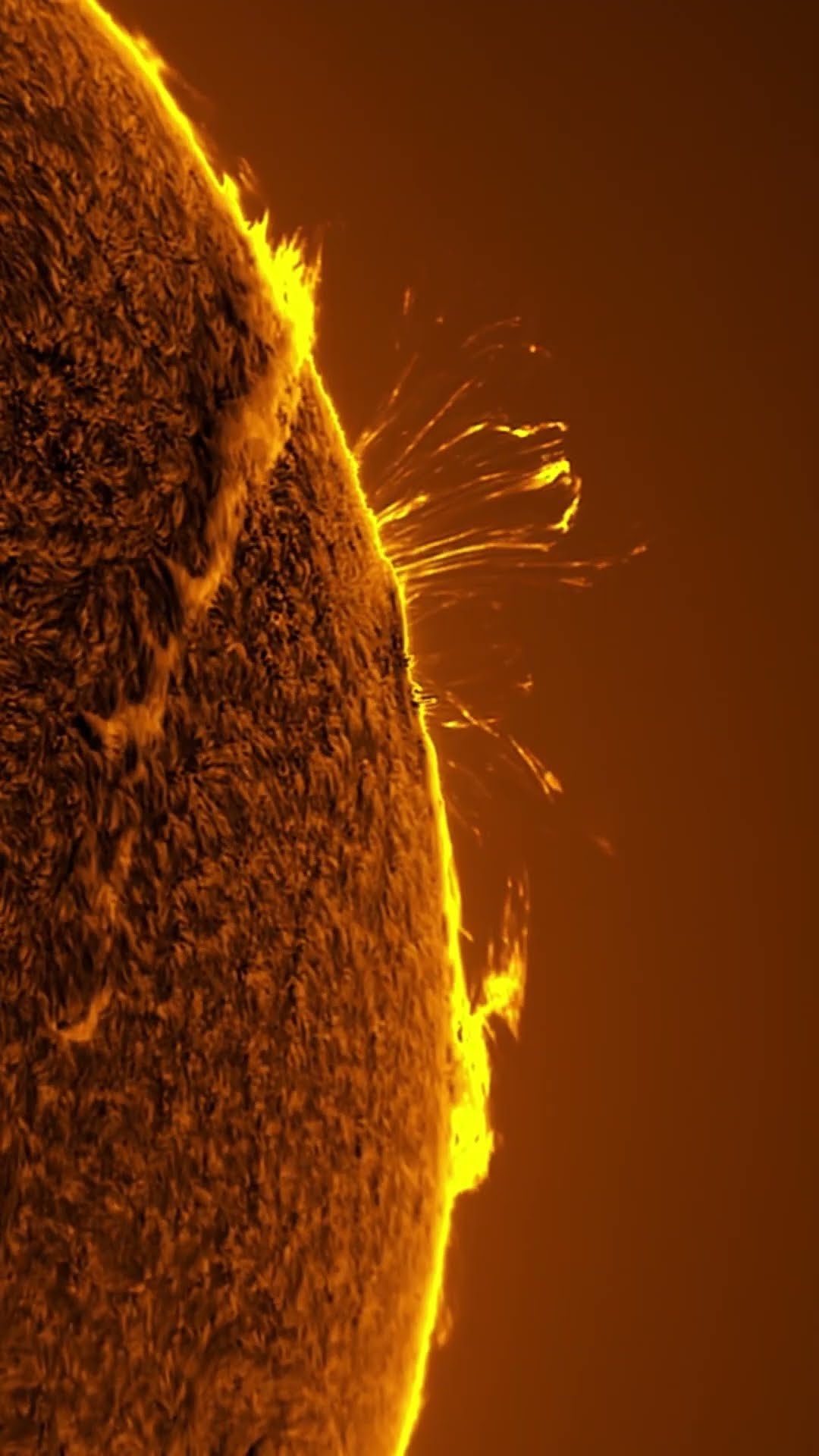 Solar flares are explosions on the Sun which emit radiation into space ☀️ #Science #Shorts #Space