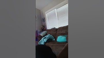 #funny #butifyoucloseyoureyes #lifeisbutadream #filter #loop #haveitoldyoulatelythatiloveyou #funny