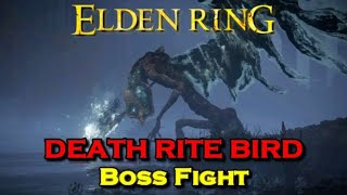 Death Rite Bird 𝕎𝕚𝕥𝕙 𝔻𝕒𝕞𝕒𝕘𝕖 Elden Ring Ps5 60Fps