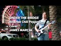 UNDER THE BRIDGE (Red Hot Chili Peppers) Cover by James Marçal - Street Musician