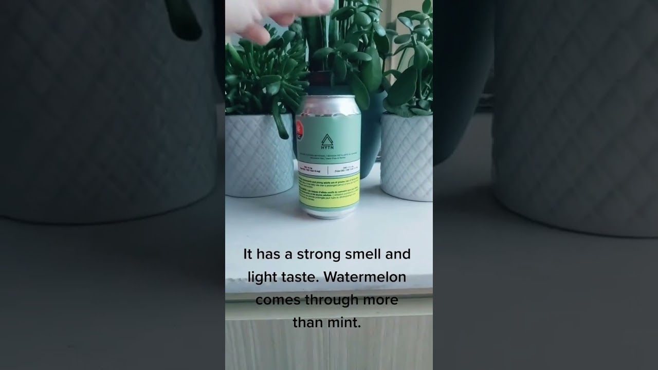 My REview Of HYTN - Watermelon Mint