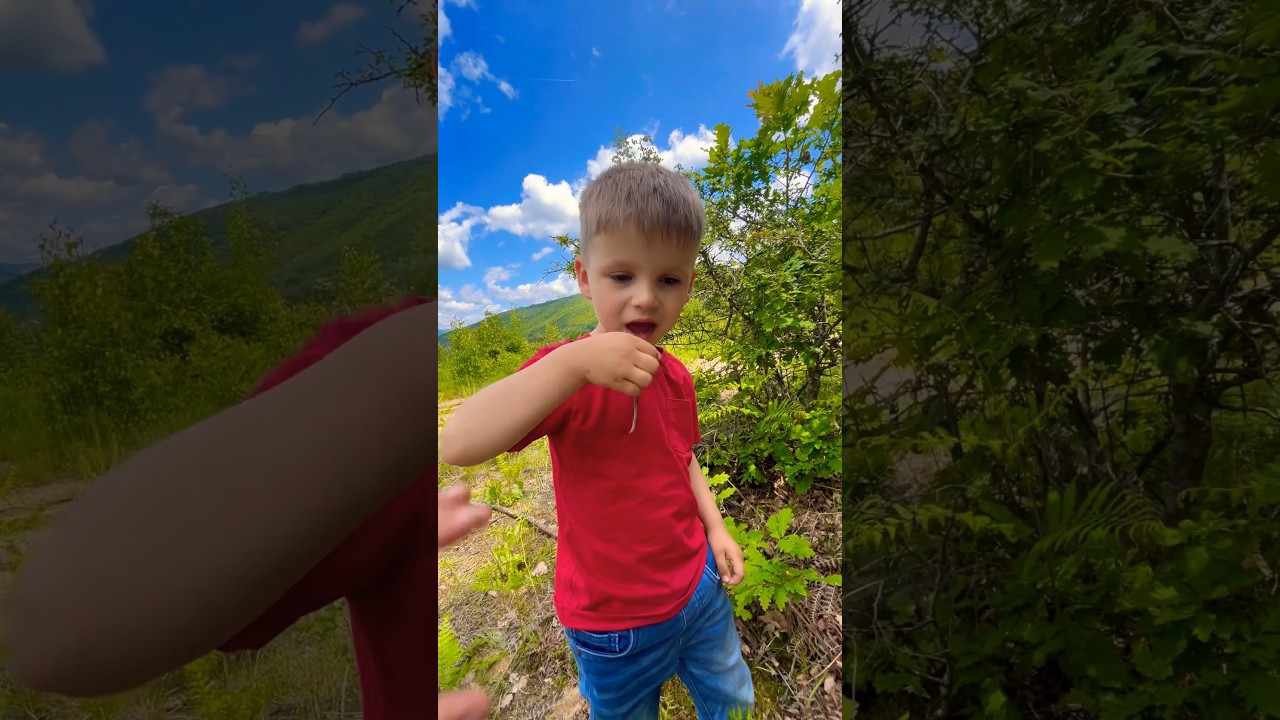 Vrea sa guste o rama jeleu 