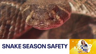 Did You Know?: Snake season safety | FOX 7 Austin