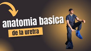 Explorando la uretra masculina