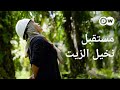 وثائقي من أجل حماية الغابات المطيرة مستقبل زيت النخيل وثائقية دي دبليو 