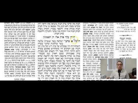 Shekalim 15b - Youtube
