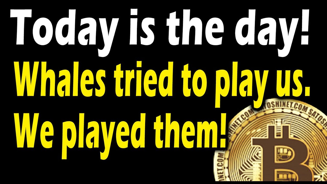 Today's the Day! Bitcoin whales tried to play us. We played them!