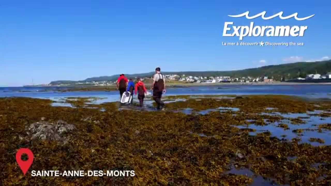 Exploramer - Attractions incontournables de la Gaspésie