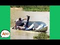 Small Boat, BIG FAIL! 😂  | Funny Fails | AFV 2020