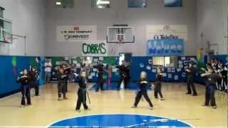 Amerikick Karate Color Belt Demonstration Team