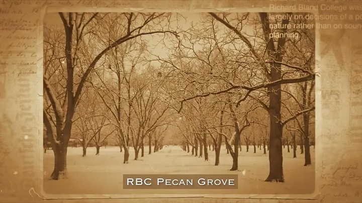 HISTORY OF RBC WEB VIDEO