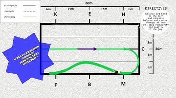 WDAA 2022 WESTERN DRESSAGE INTRODUCTORY LEVEL TEST 4