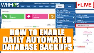 [🔴live] how to enable daily automated database backups in whmcs?