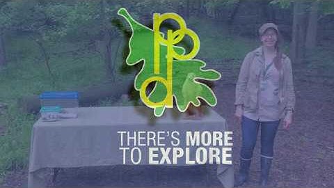 Summer Reading 2020 Week 3