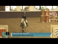 Day 4 - POYS Novice Grand Prix - Pony of the Year 2017 (Wrong title on video)