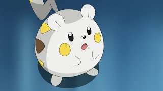 Togedemaru Pokemon All Attacks
