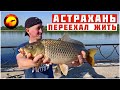 Переехал жить в Астрахань / Рыбалка как маленькая жизнь