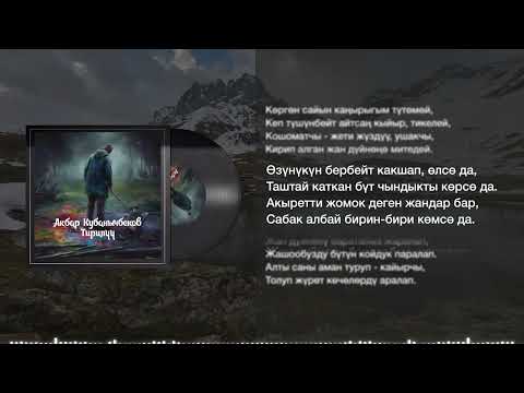 Video: Тирилүү лилиялары мышыктарга уулуубу?