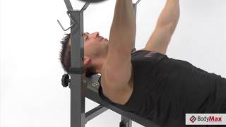 Bodymax CF342 Compact Folding Bench