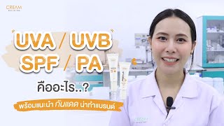 UVA UVB  SPF PA คืออะไร? l Marketing Review l Creambuilding